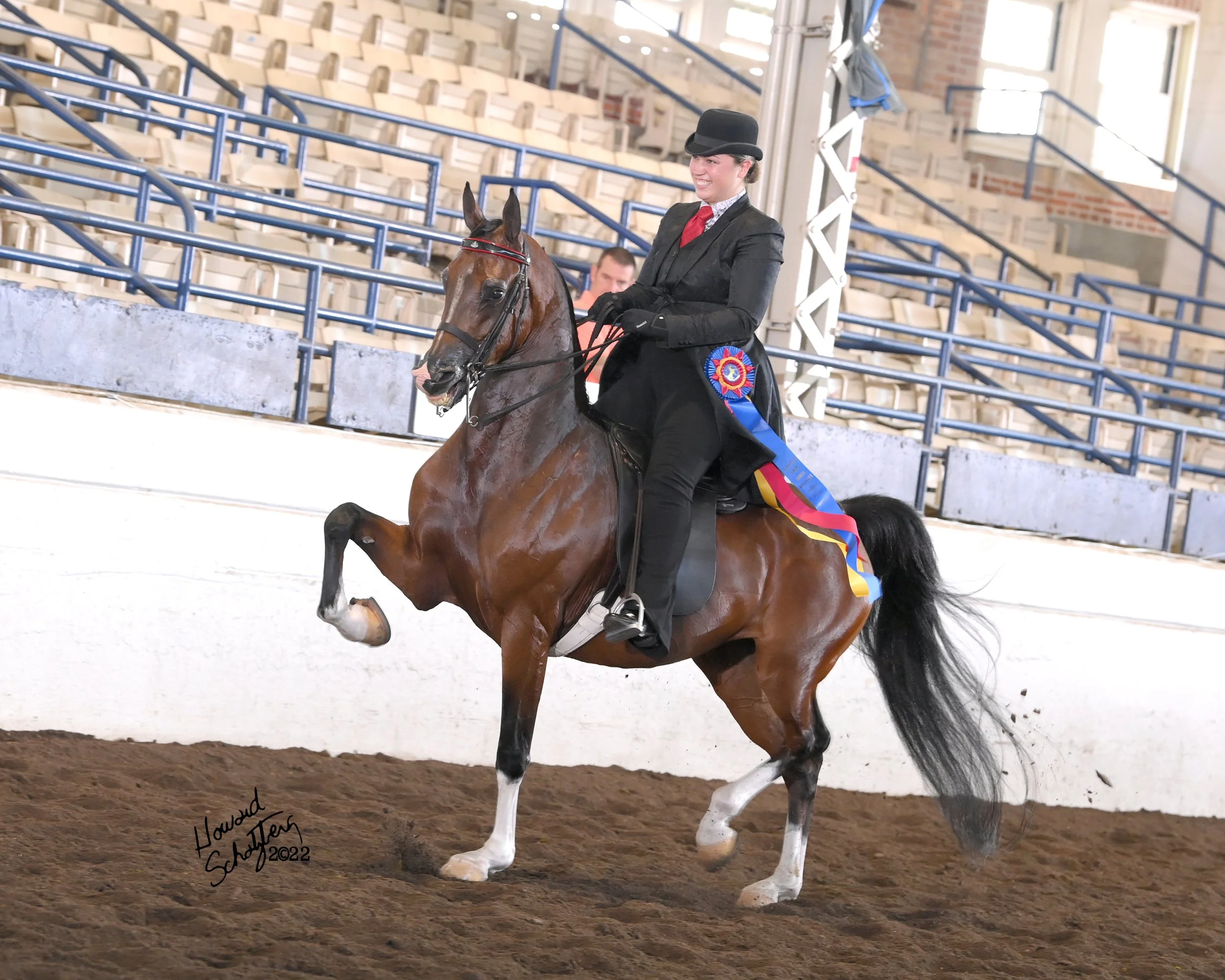 USEF National Show Horse Committee Selection Criteria