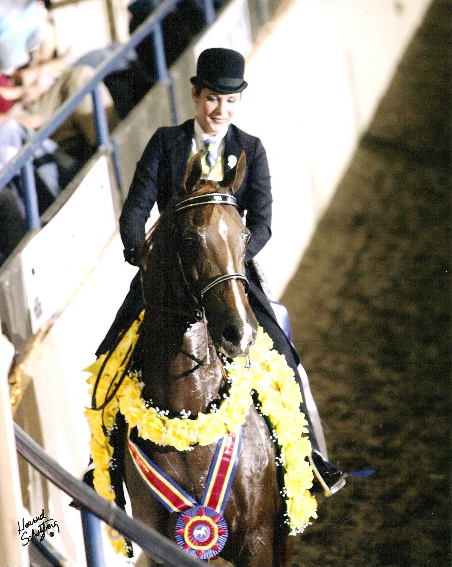 National Show Horse